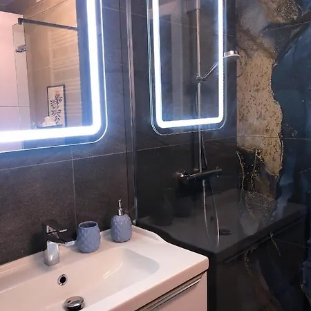 Apartament Novosadecki Z Garazem I Ogrodem * Nowy Sącz