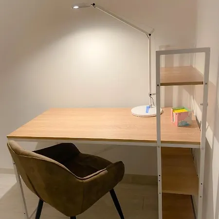 Apartament Novosadecki Z Garazem I Ogrodem Nowy Sącz