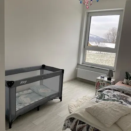 Apartament Novosadecki Z Garazem I Ogrodem *